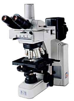 Nikon Eclipse E600 Microscope
