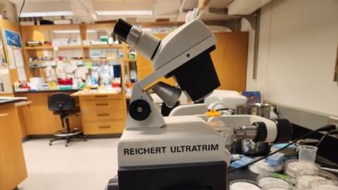 Reichert Ultratrim