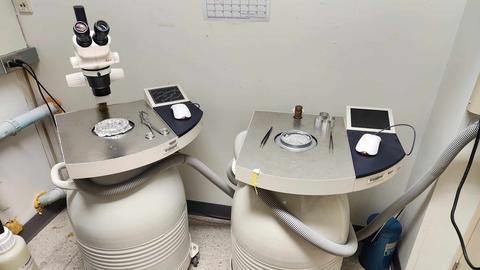 Freeze Substitution Machines