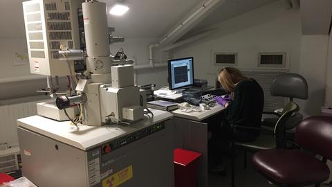 Using the Scanning Electron Microscope